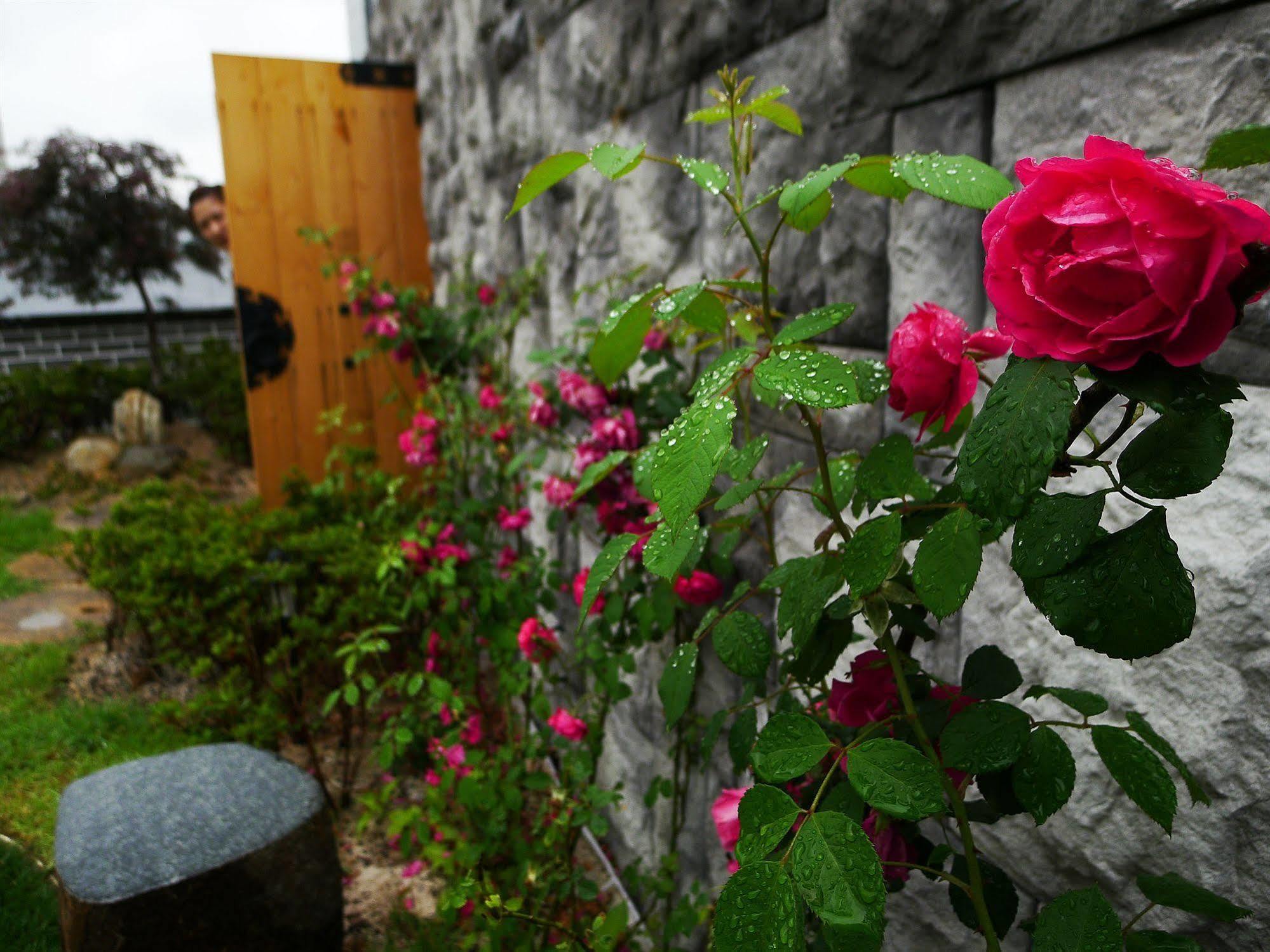 Sieoso Hotel Seoul Exterior photo